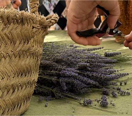 Talleres presenciales destilacion en alambique de cobre
