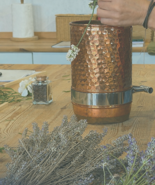 Alambique de cobre con lavanda fresca y lavanda seca antes de una destilación de hidrolatos.