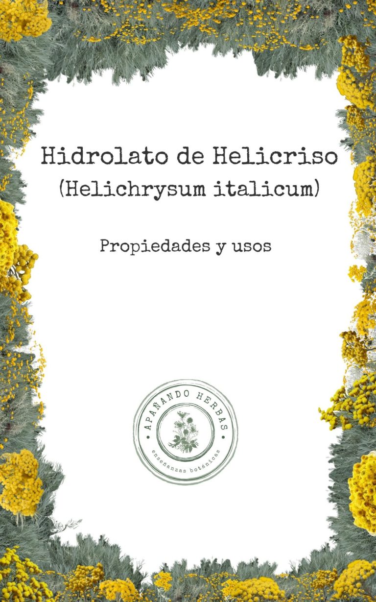 Monografía del hidrolato de helicriso, Helichrysum italicum, ebook Kindle de Apañando Herbas