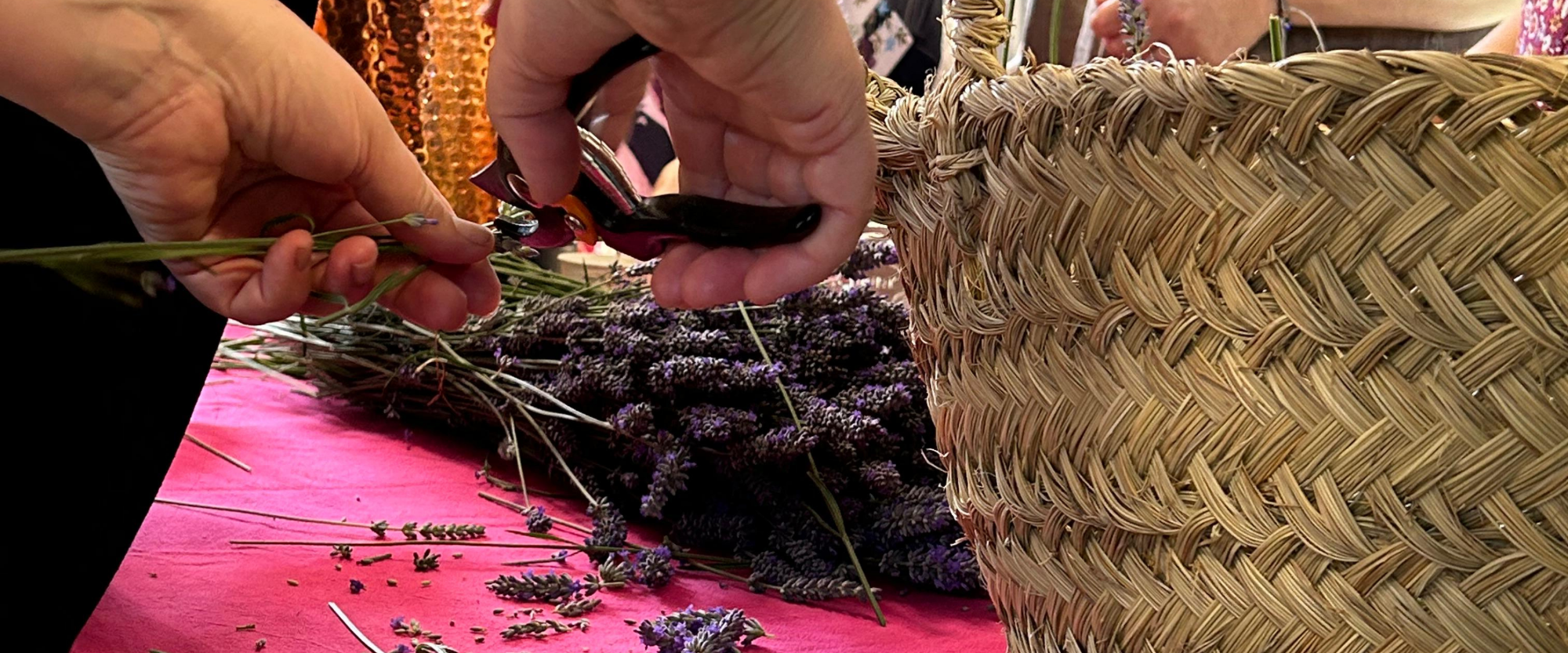 Aprender a destilar plantas | Taller presencial