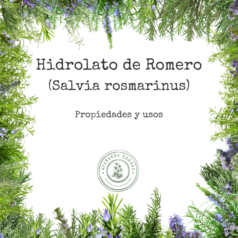 Portada del monográfico Hidrolato de Romero (Salvia rosmarinus), propiedades y usos