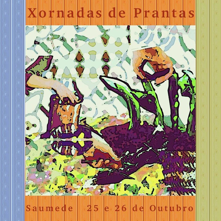 Taller de destilación de hidrolatos en Ourense – Saumede 2025 | Apañando herbas Cartel del taller de destilación de hidrolatos en Saumede Ourense | Apañando Herbas