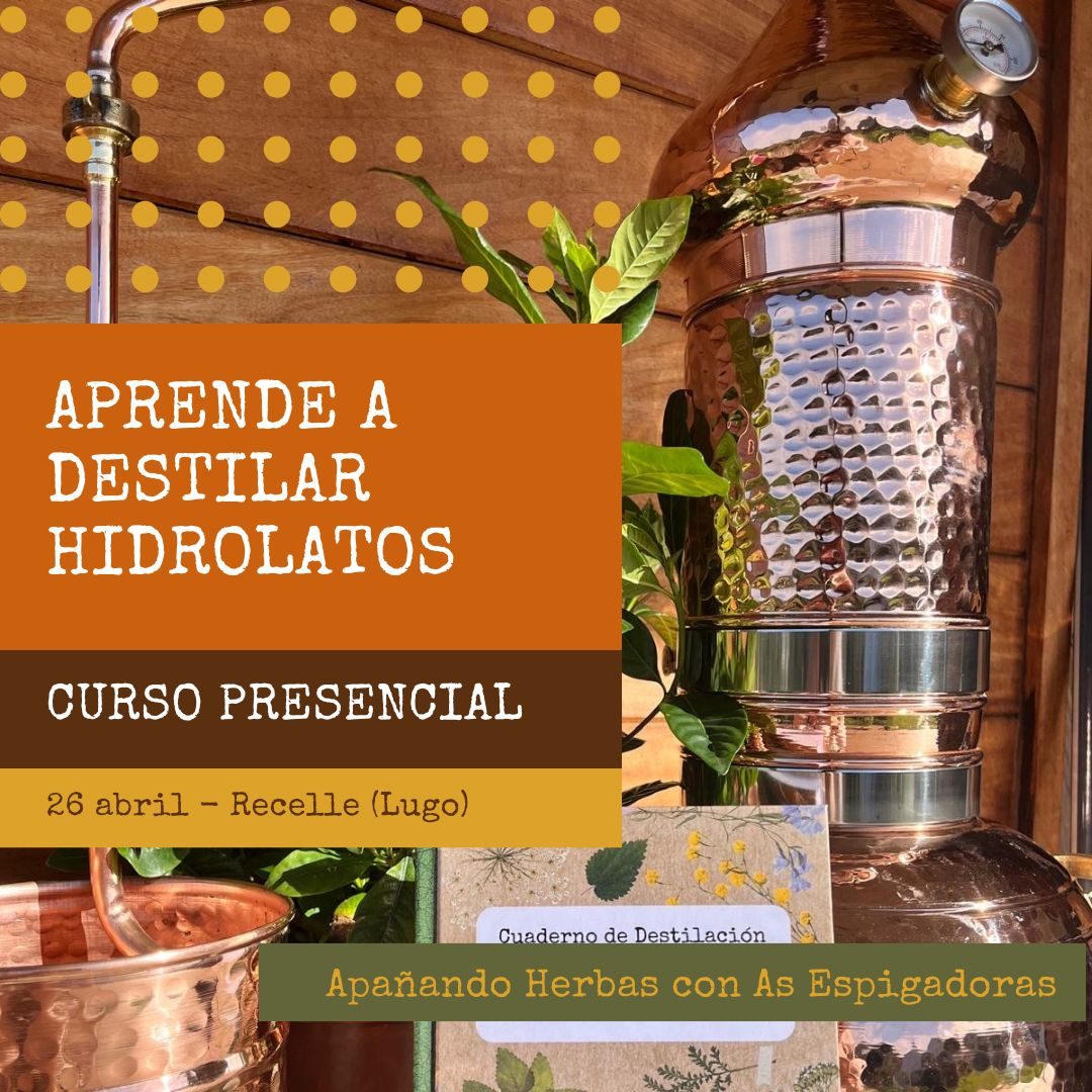 Cartel sobre curso en Lugo de destilación de hidrolatos, con alambique tradicional y plantas.