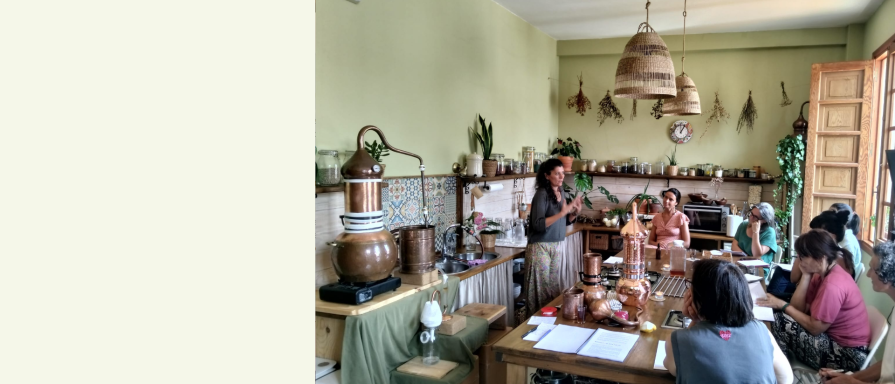 Sandra impartiendo el curso de destilación de hidrolatos en la Escola Vita, escuela macrobiótica de Betanzos, junto a alambiques de cobre