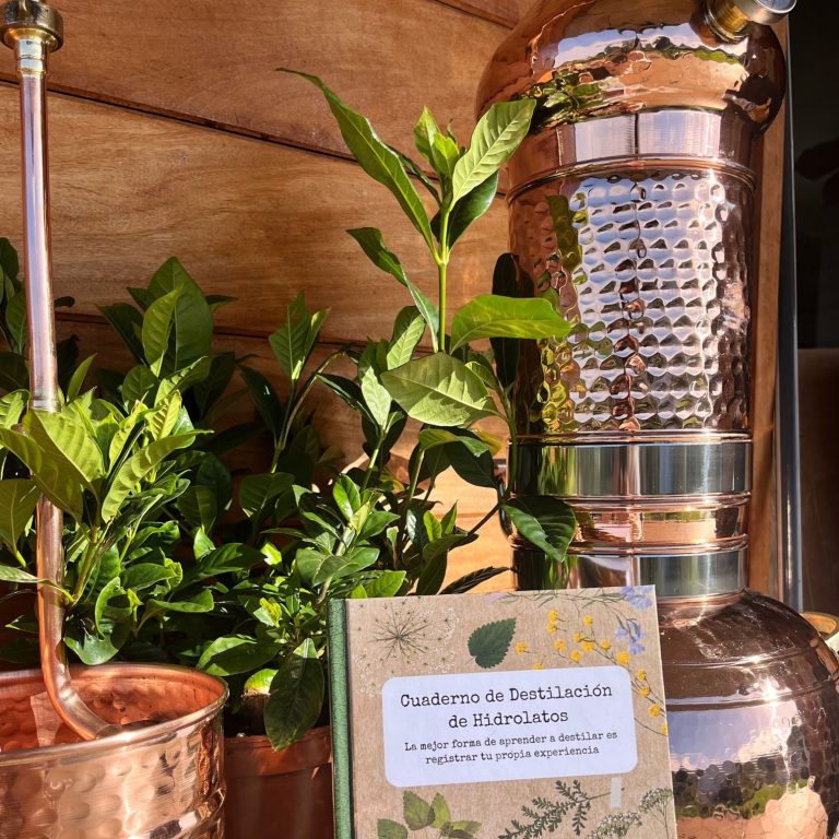 Frasco de vidrio con hidrolato recién destilado y medidor de pH