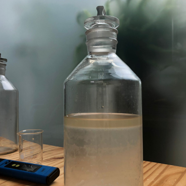 hidrolato con capa de aceite esencial recién destilado